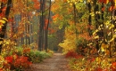 A la faveur de l'automne - Instrumental MP3 Karaoke - Tété A la faveur de l'automne - Instrumental MP3 Karaoke - Tété