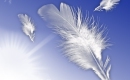 Even Angels Fall - Instrumental MP3 Karaoke - Jessica Riddle Even Angels Fall - Instrumental MP3 Karaoke - Jessica Riddle