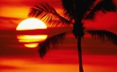 Palma De Mallorca - Instrumental MP3 Karaoke - Chris Wolff Palma De Mallorca - Instrumental MP3 Karaoke - Chris Wolff