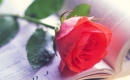 Beauty and the Beast (Finale) - Instrumental MP3 Karaoke - Beauty and the Beast (2017 Film) Beauty and the Beast (Finale) - Instrumental MP3 Karaoke - Beauty and the Beast (2017 Film)