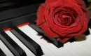 All Of Me - Bass Backing Track - John Legend - Instrumental Version