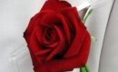 Forever & Always - Instrumental MP3 Karaoke - Taylor Swift Forever & Always - Instrumental MP3 Karaoke - Taylor Swift