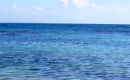 In alto mare - Instrumental MP3 Karaoke - Loredana Berté In alto mare - Instrumental MP3 Karaoke - Loredana Berté