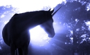 The Last Unicorn - Instrumental MP3 Karaoke - America The Last Unicorn - Instrumental MP3 Karaoke - America