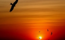 Free Bird (Album Version) - Bass Backing Track - Lynyrd Skynyrd - Instrumental Version