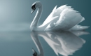 Incancellabile - Instrumental MP3 Karaoke - Laura Pausini Incancellabile - Instrumental MP3 Karaoke - Laura Pausini