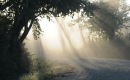 Guiding Light - Piano Backing Track - Foy Vance - Instrumental Version